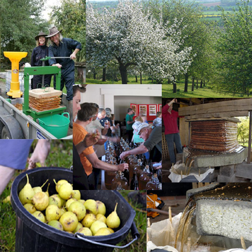 Big Apple Herefordshire Collage