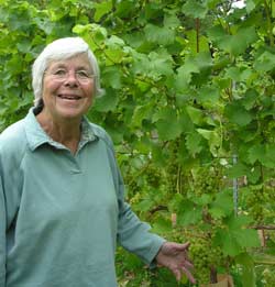 Cilla Clive Fruit Grower