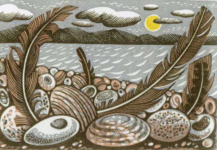 Tideline Feathers by Angie Lewin