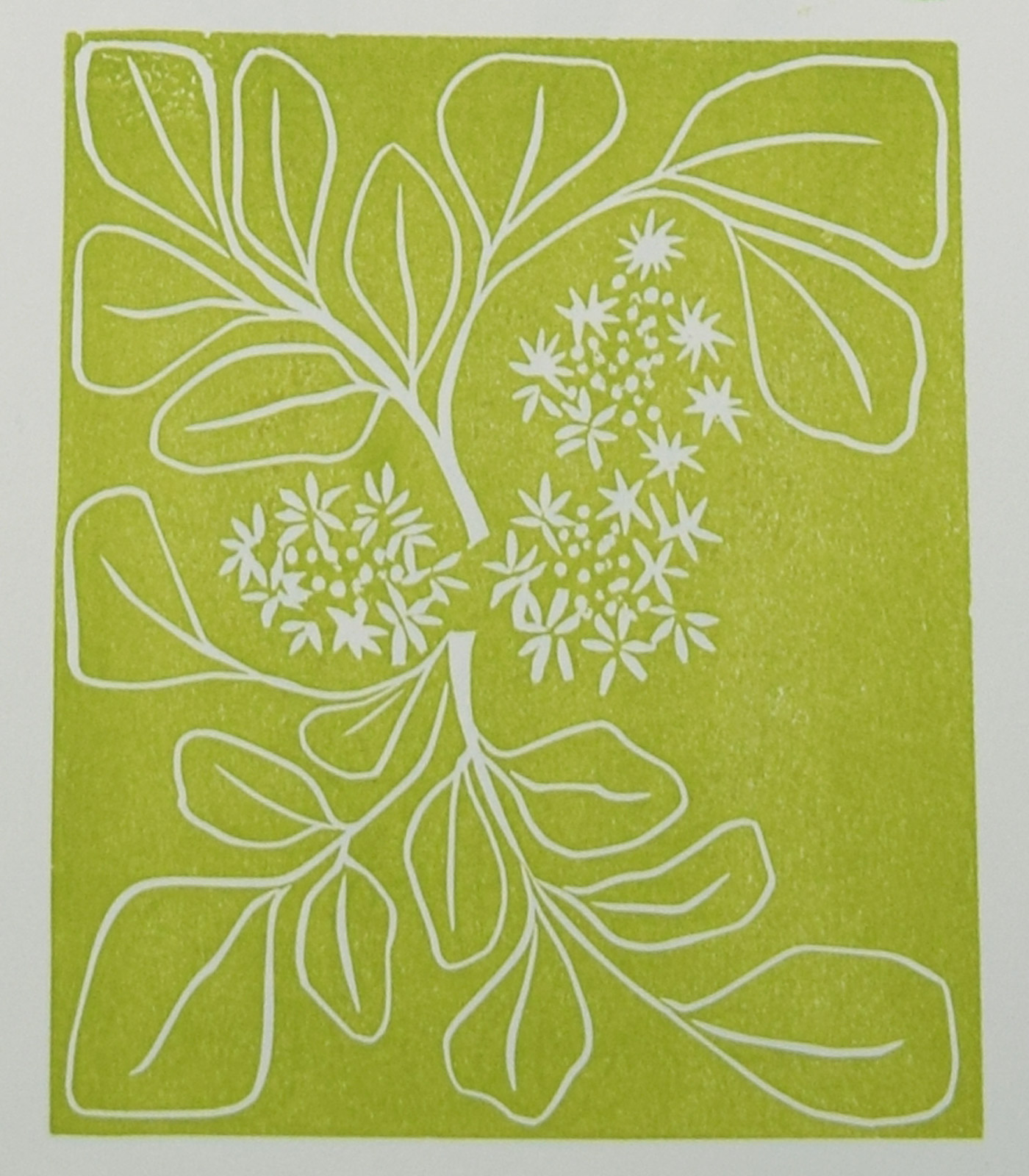 Watercress Linocut