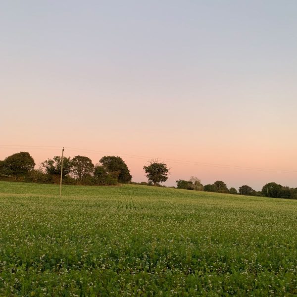 Tinsmiths 'Ledburyshire' Calendar July 2021: Hoarwithy