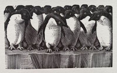 Charles Tunnicliffe: The Importance of Wood Engraving